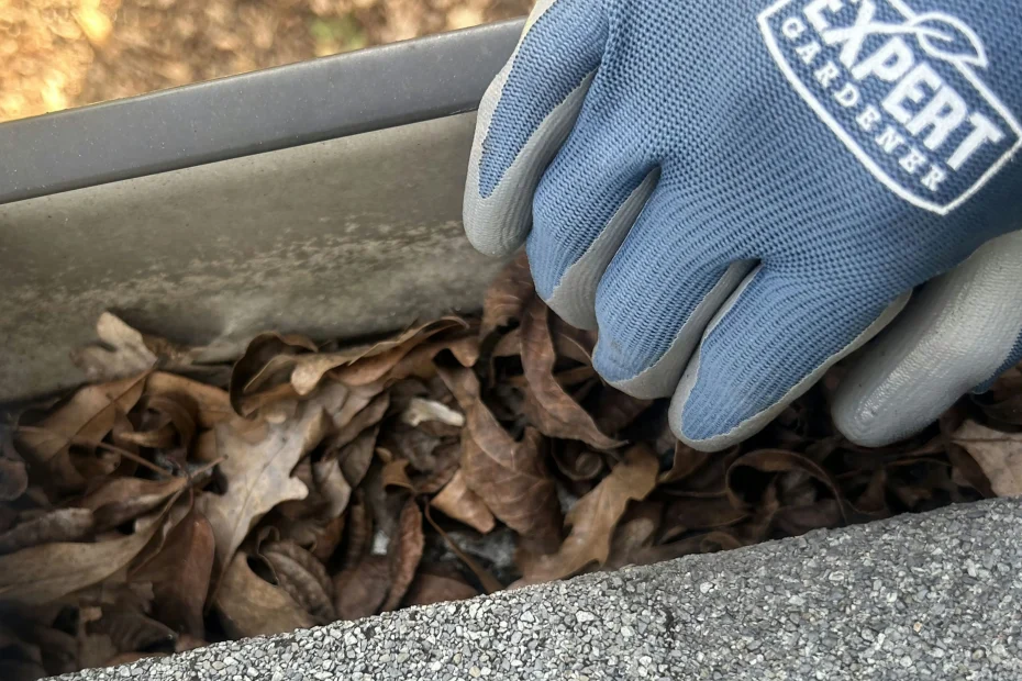 Gutter Cleaning Town N' Country