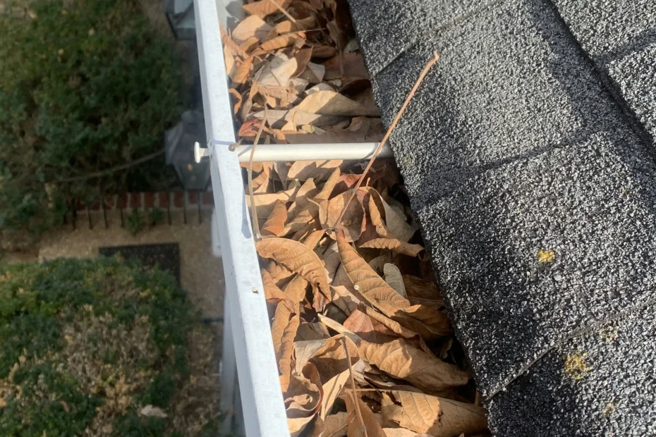 Gutter Cleaning Town N' Country