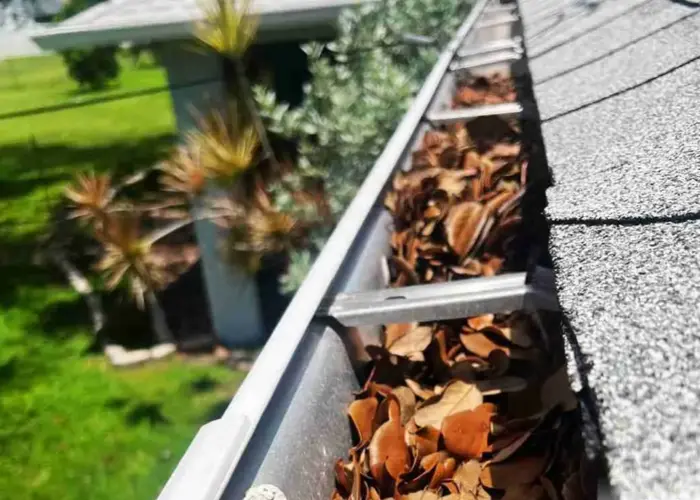 Gutter Cleaning Town N' Country home page